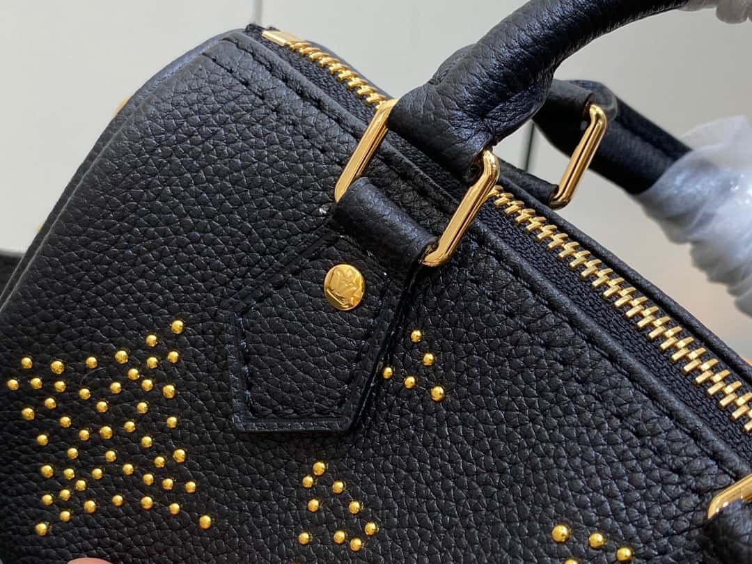 Bolsa Louis Vuitton Speedy Nano