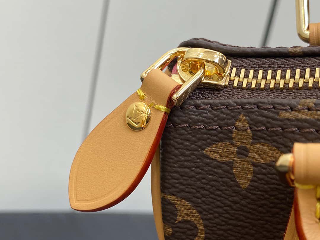 Bolsa Louis Vuitton Speedy Nano