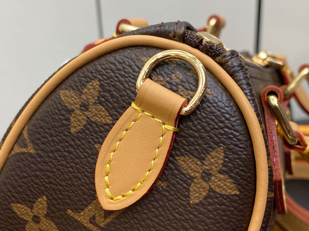 Bolsa Louis Vuitton Speedy Nano