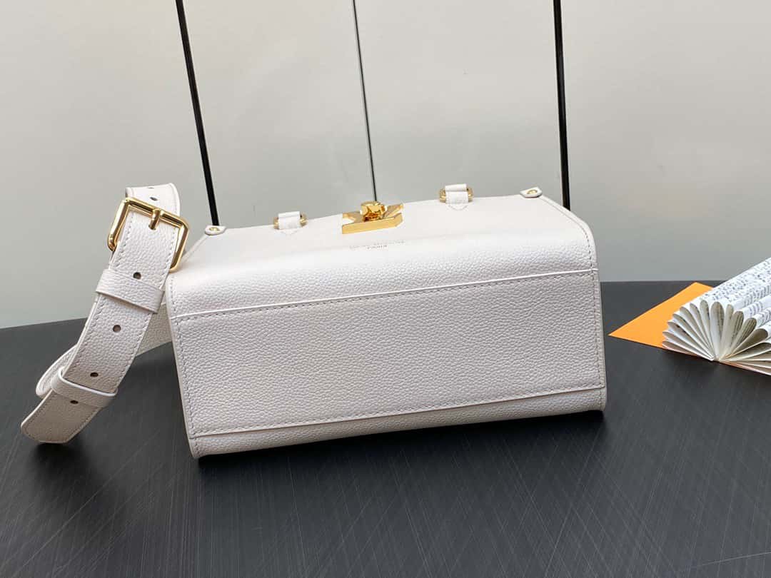 Bolsa Louis Vuitton Lock & Go