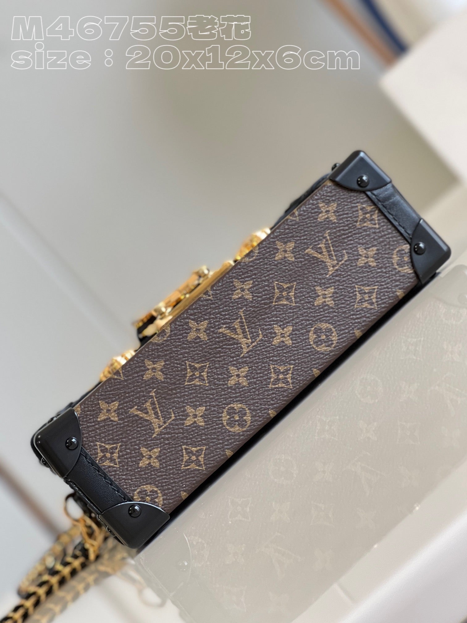 Bolsa Louis Vuitton Petite Malle Capitale
