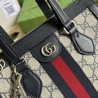Bolsa Gucci Ophidia