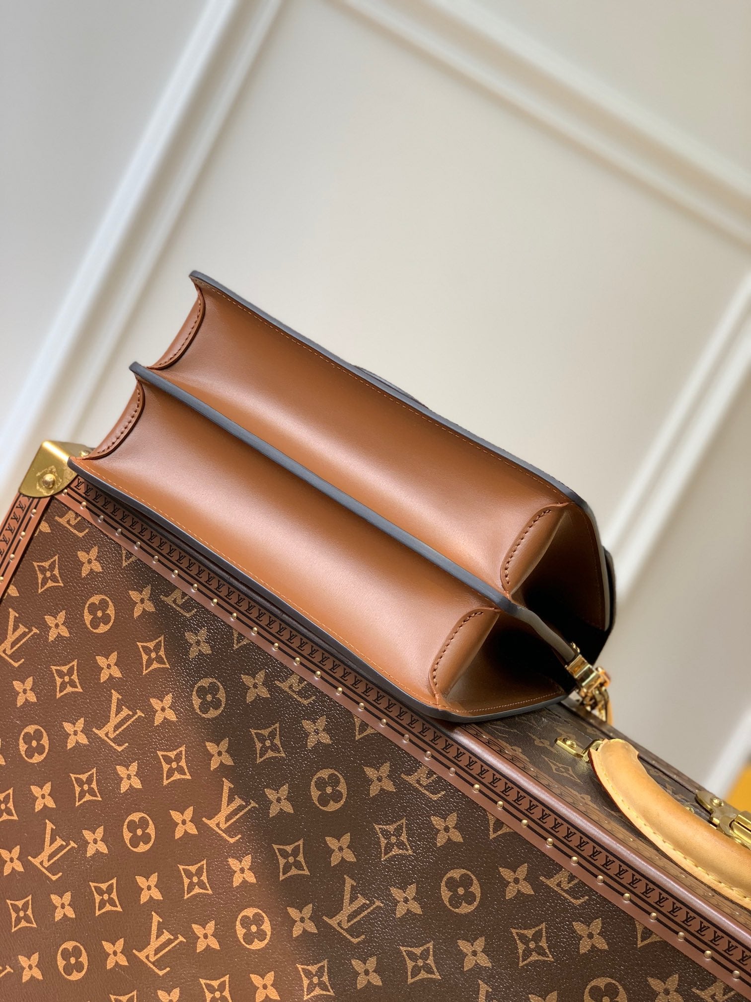 Bolsa Louis Vuitton DAUPHINE MM