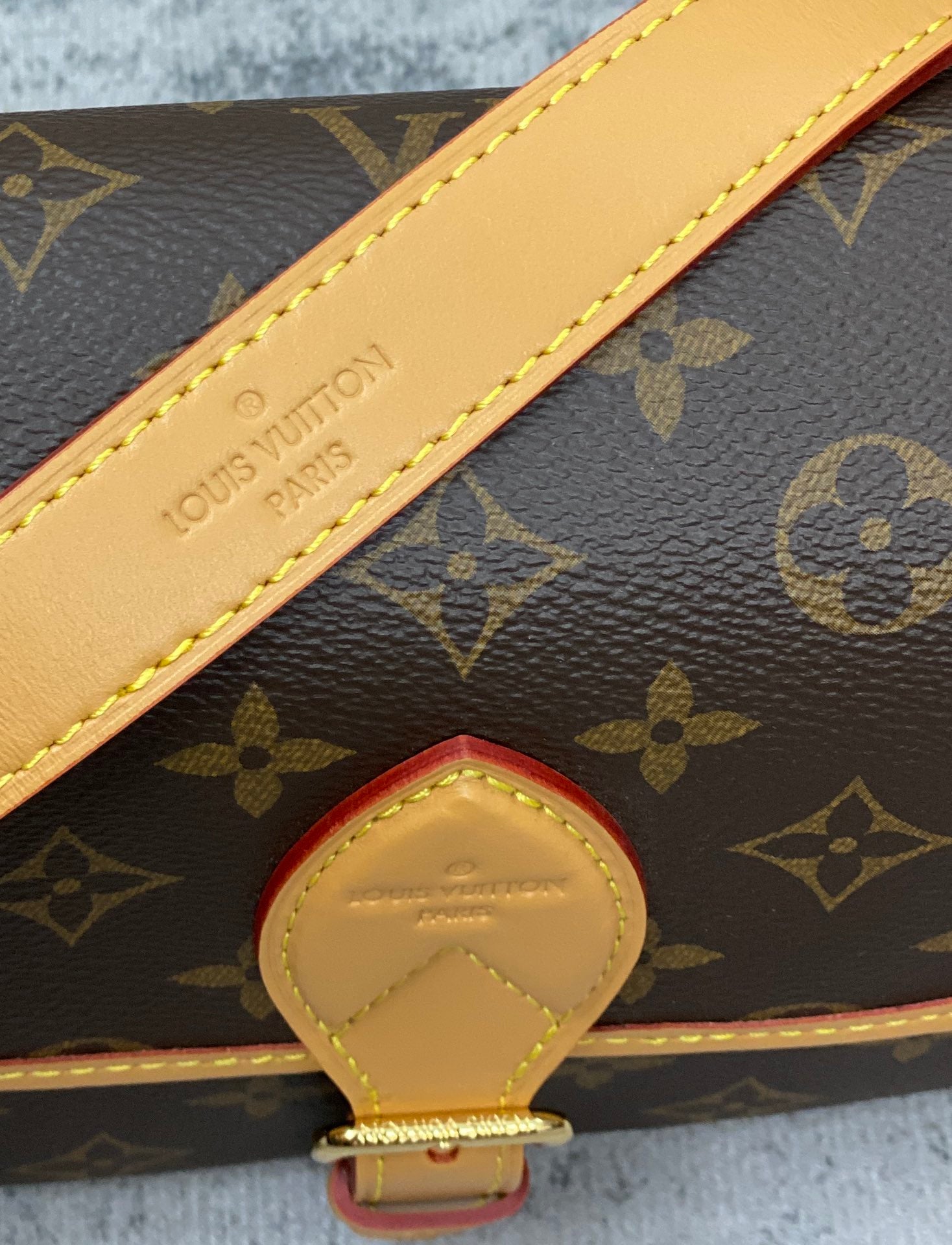 Bolsa Louis Vuitton Diane