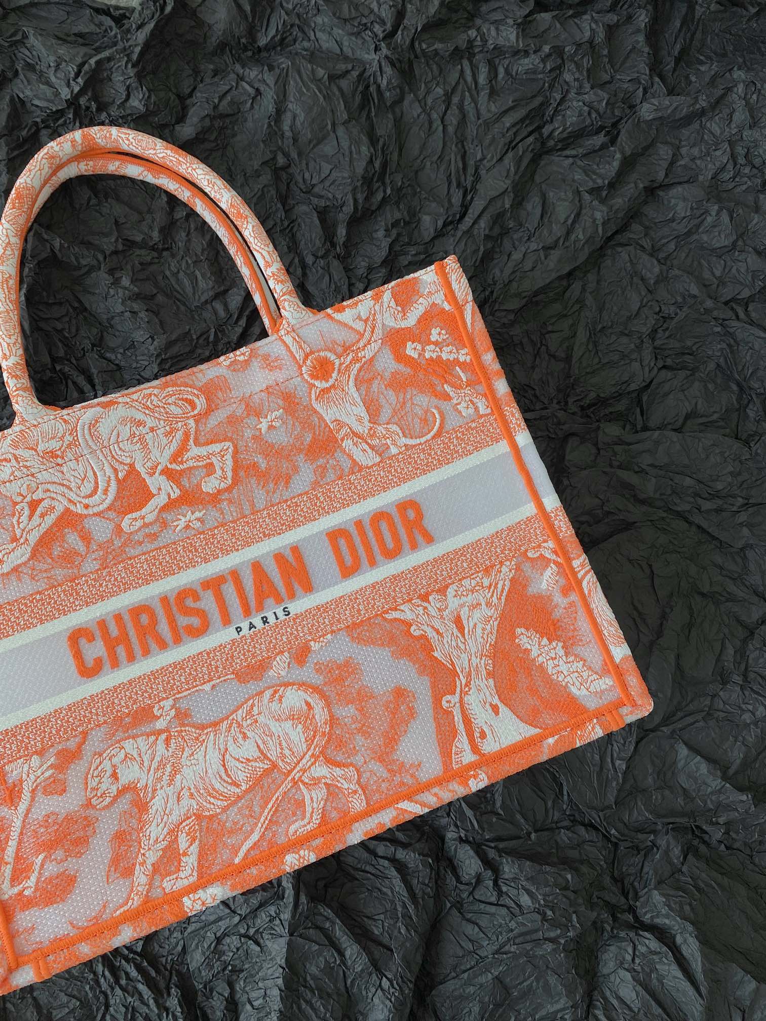 Bolsa Dior BOOK TOTE