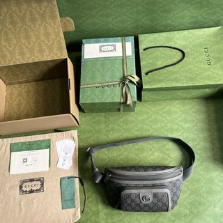 Bolsa Gucci OPHIDIA BELT