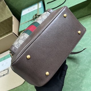 Bolsa Gucci Ophidia