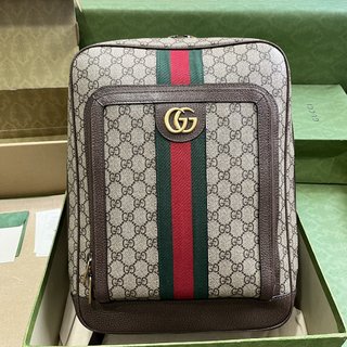 Bolsa Gucci Ophidia