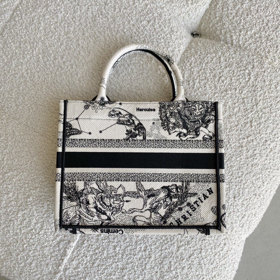 Bolsa Dior SMALL BOOK TOTE