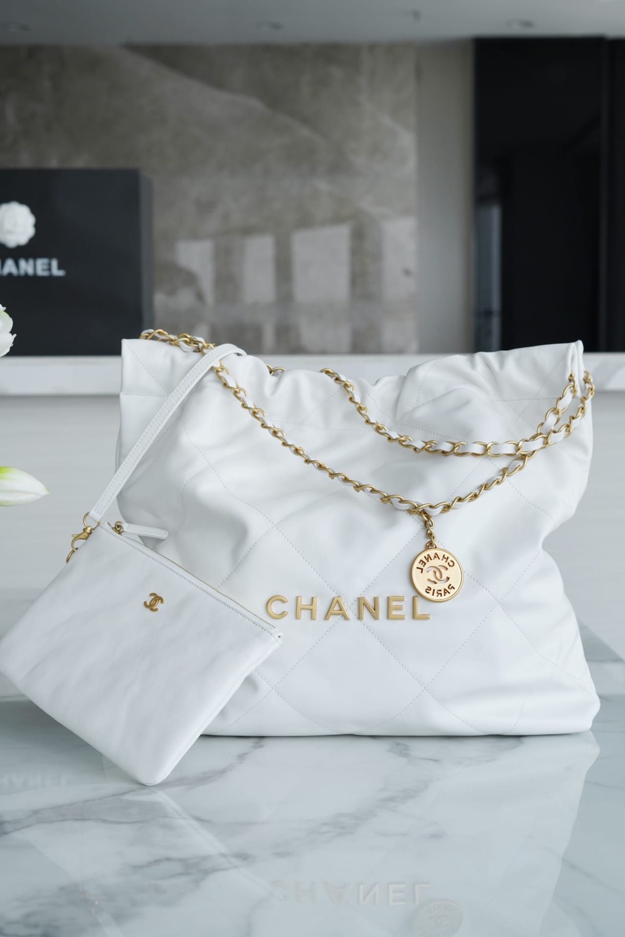Bolsa CHANEL 22