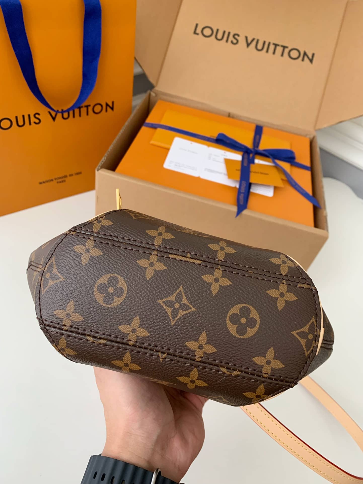 Bolsa Louis Vuitton M46196 Ellipse PM