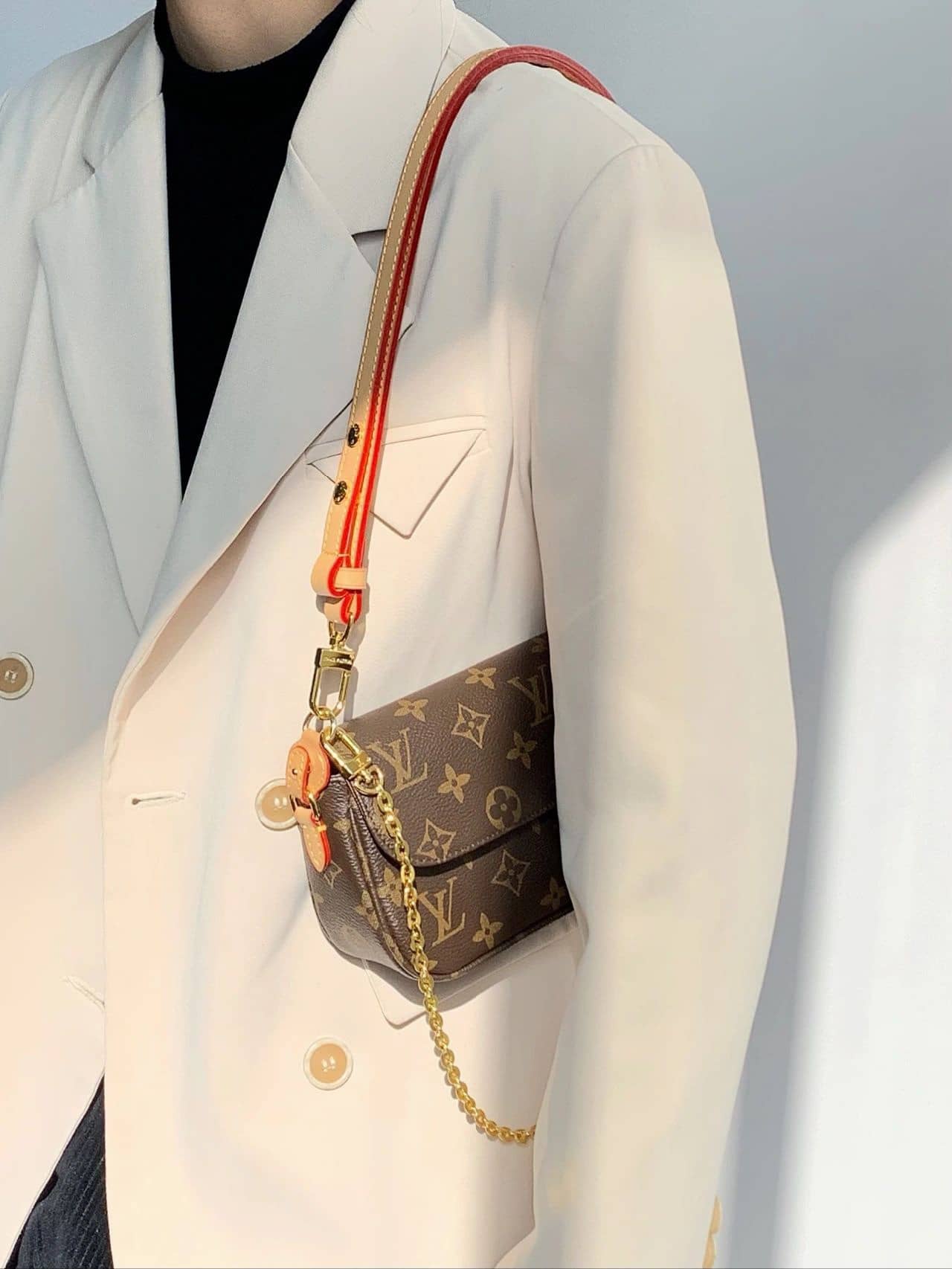 Bolsa Louis Vuitton  Wallet on Chain Ivy