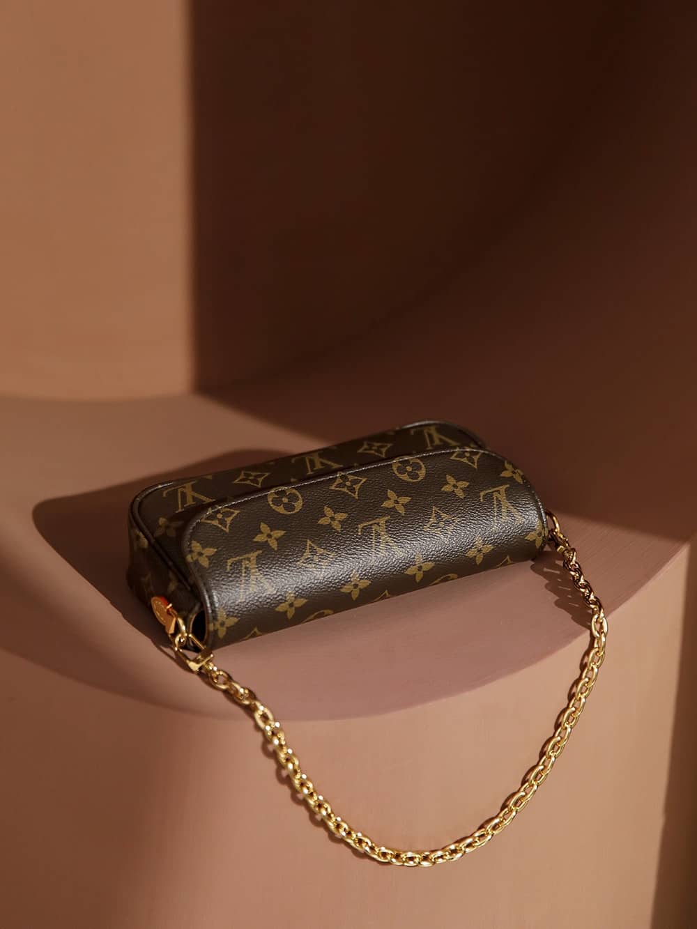 Bolsa Louis Vuitton  Wallet on Chain Ivy