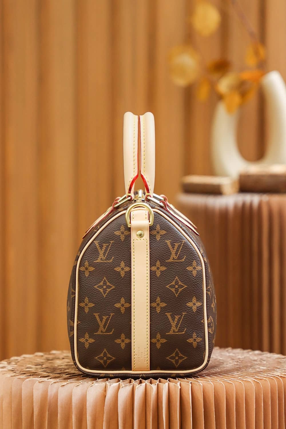 Bolsa Louis Vuitton Speedy 25