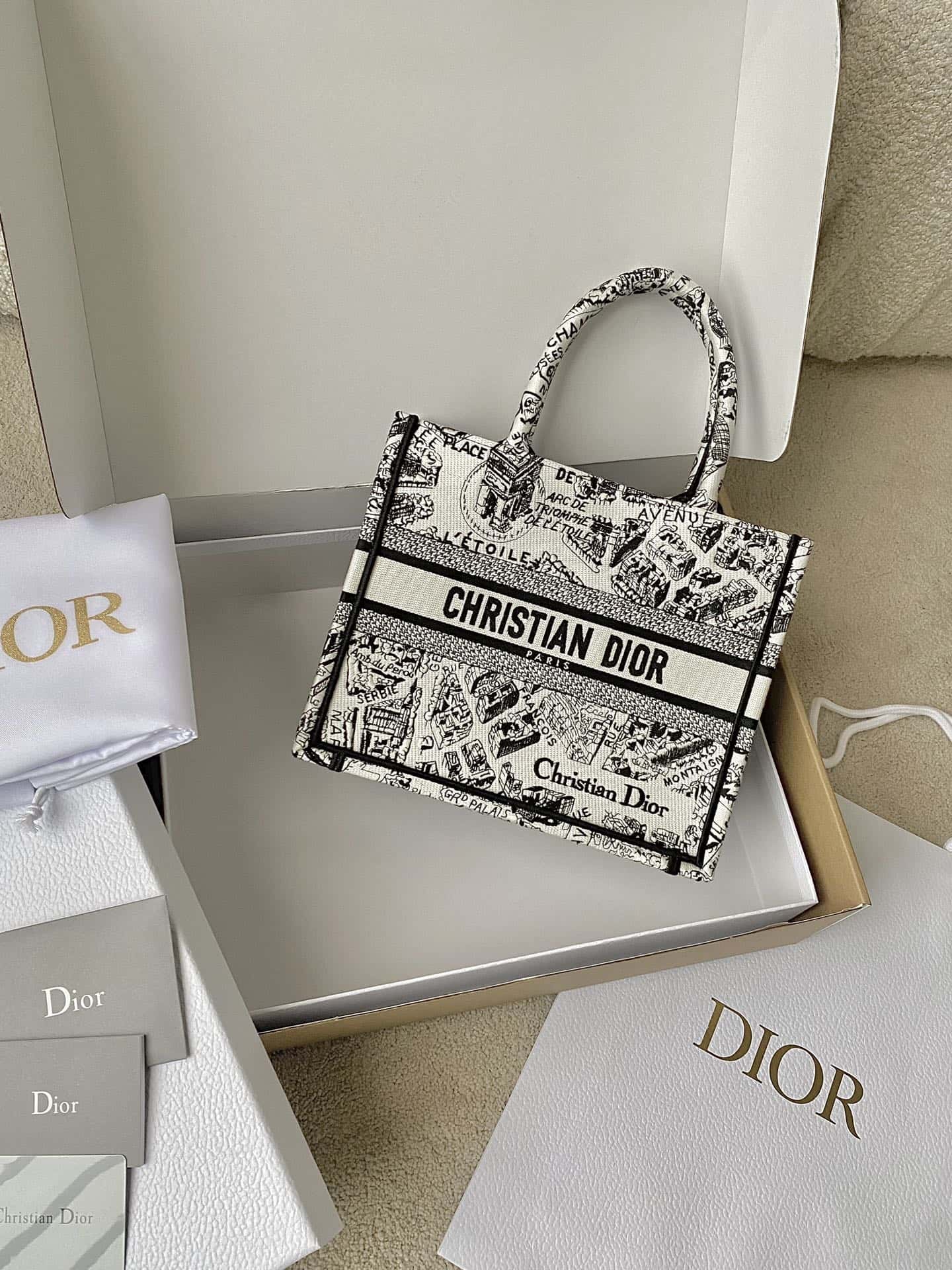 DIOR Small BOOK TOTE