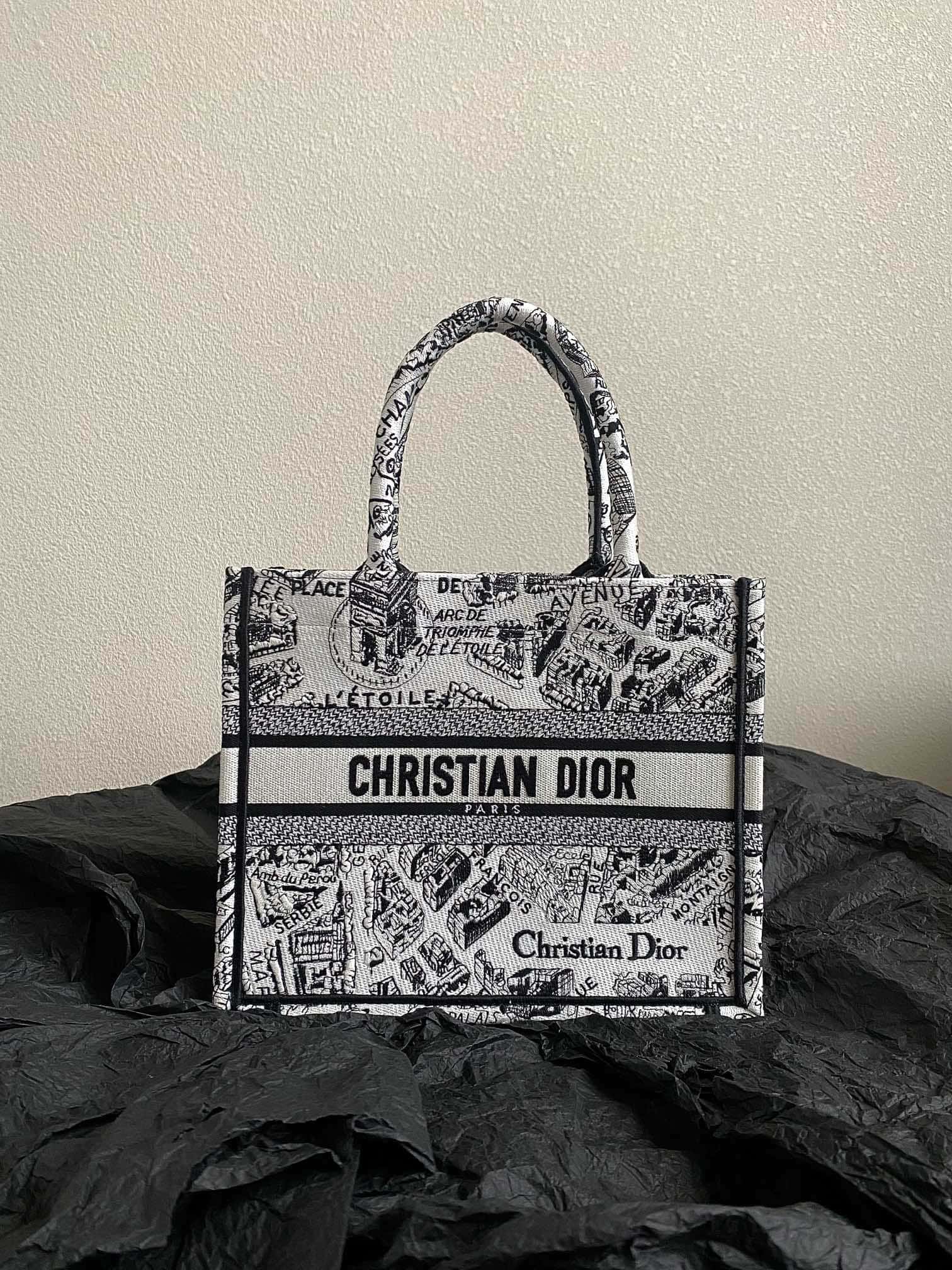 DIOR Small BOOK TOTE
