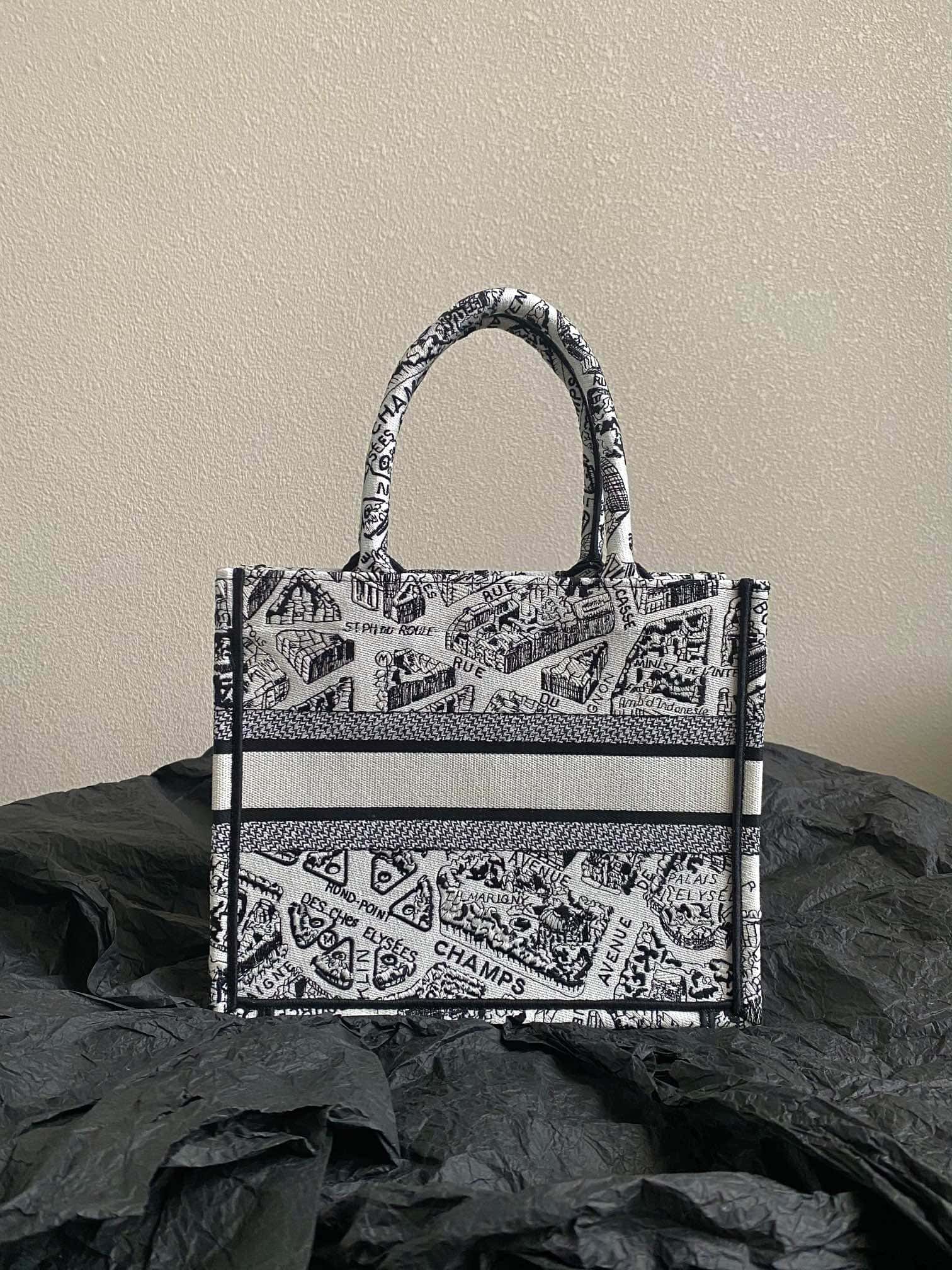 DIOR Small BOOK TOTE