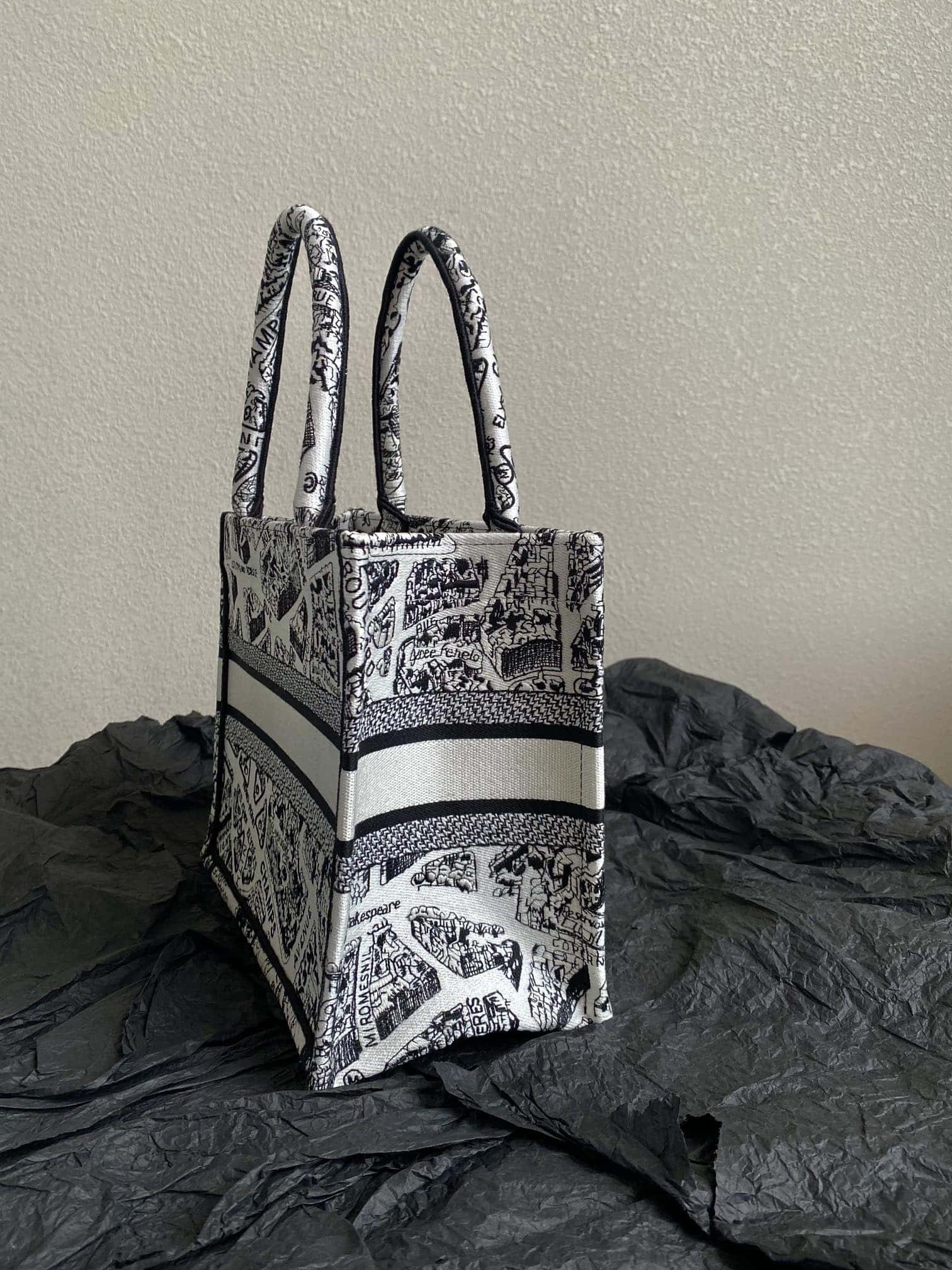 DIOR Small BOOK TOTE