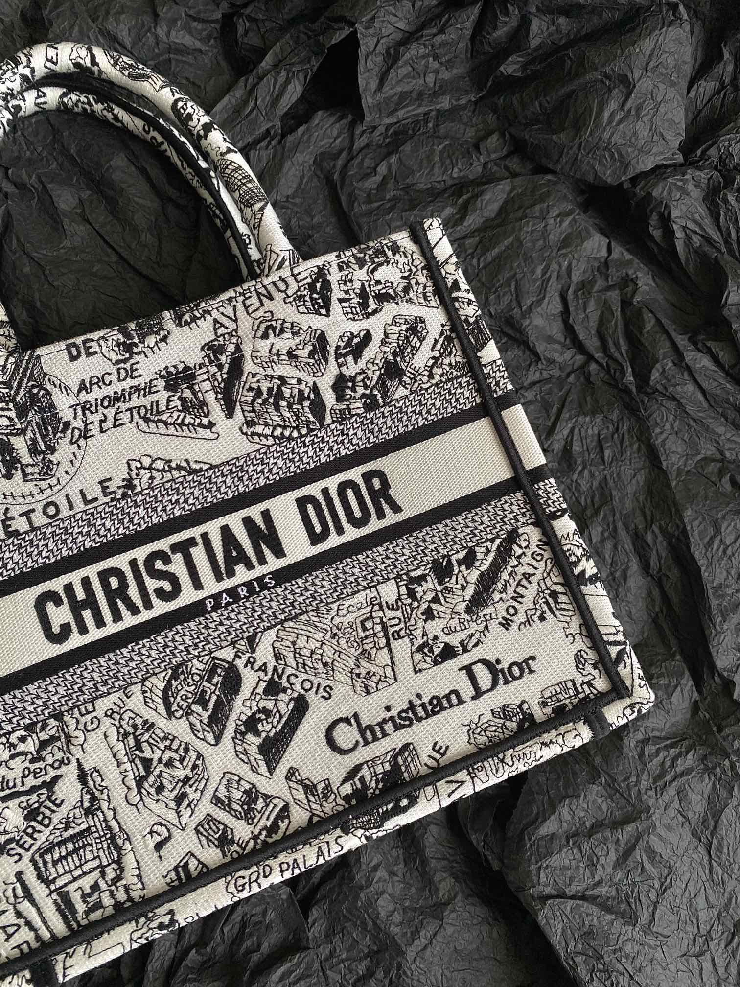 DIOR Small BOOK TOTE