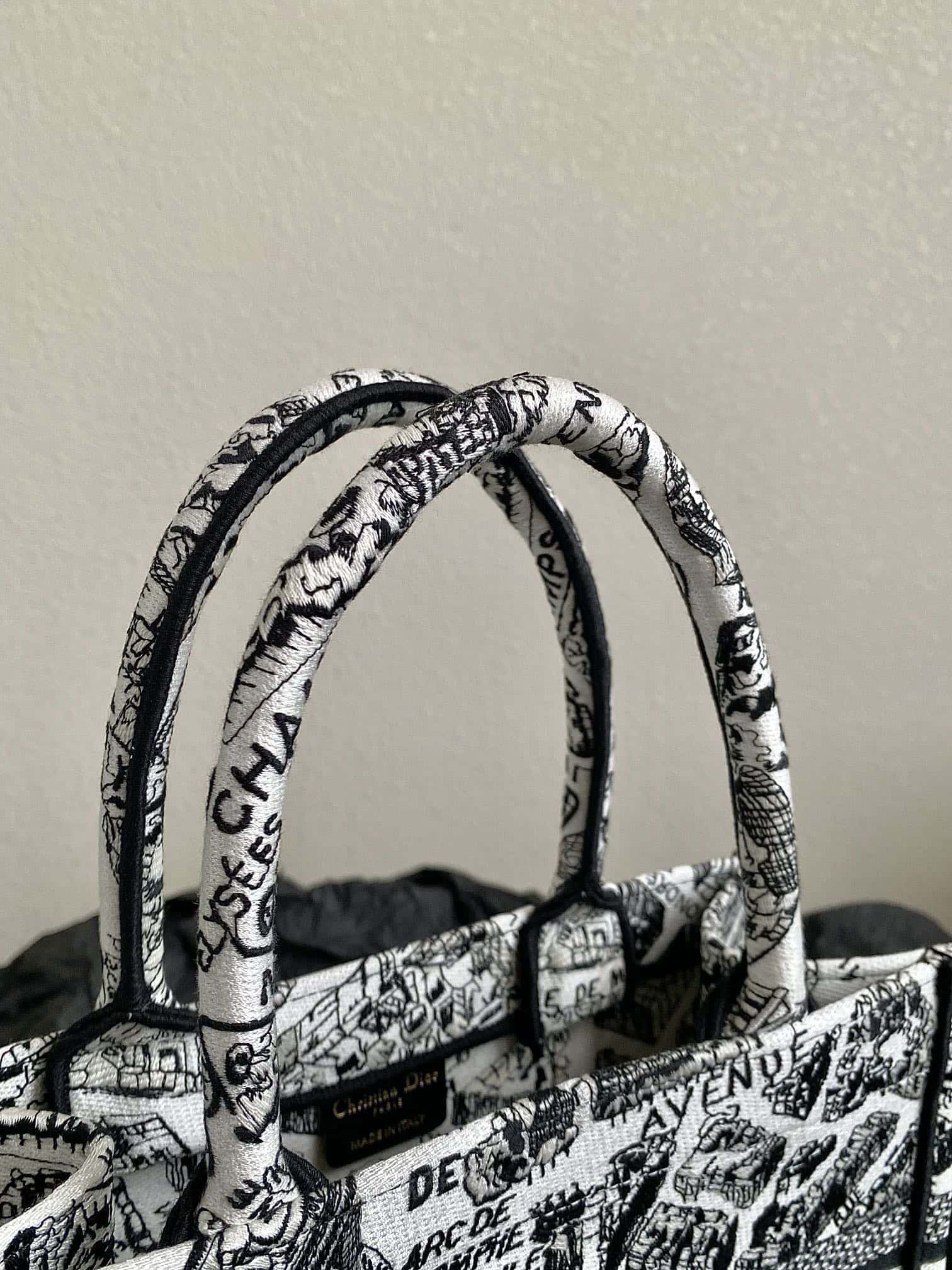 DIOR Small BOOK TOTE
