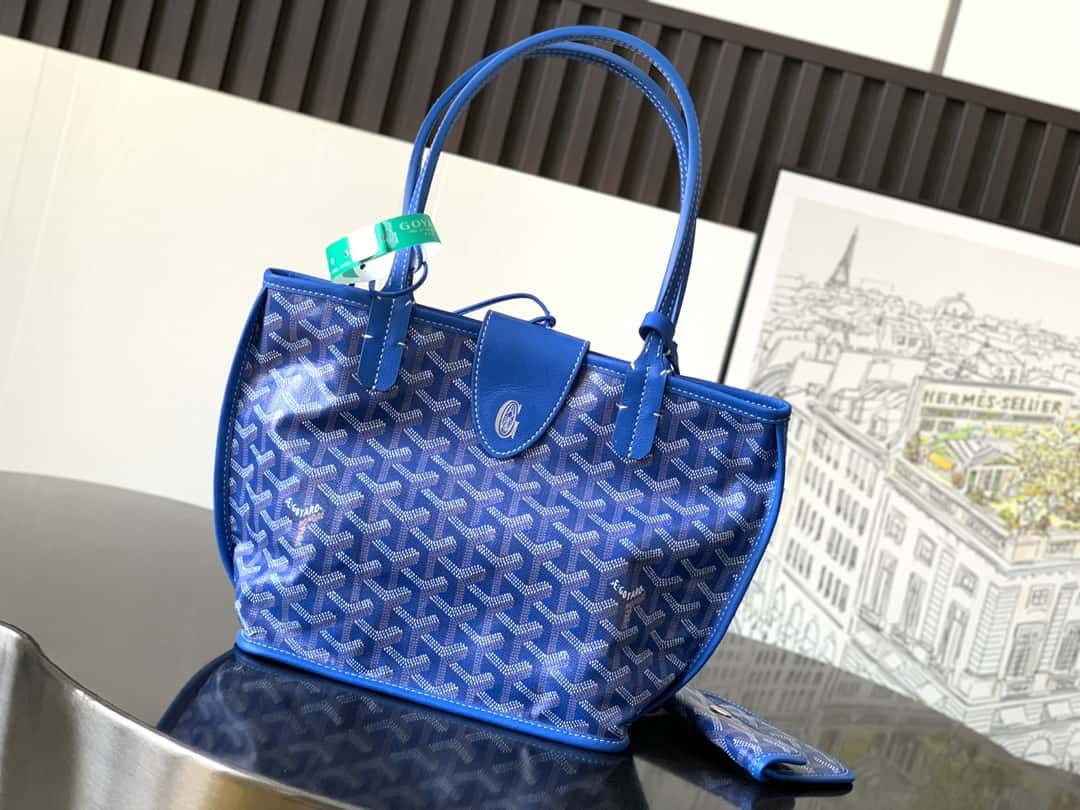 Bolsa  Goyard