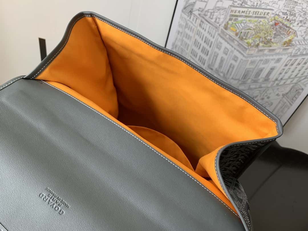 Bolsa  Goyard