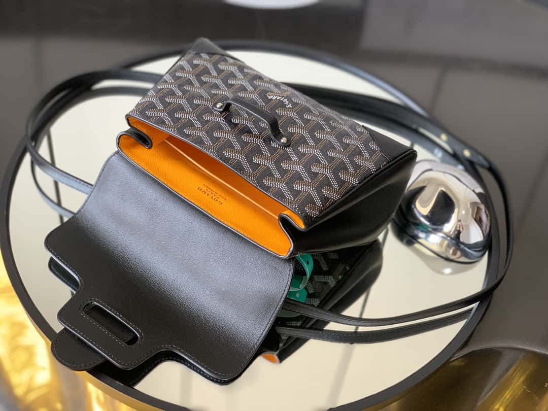 Bolsa  Goyard