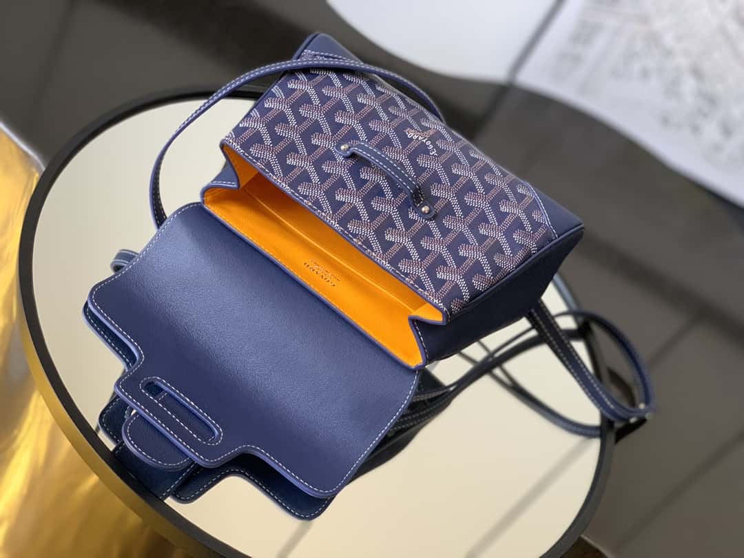 Bolsa  Goyard