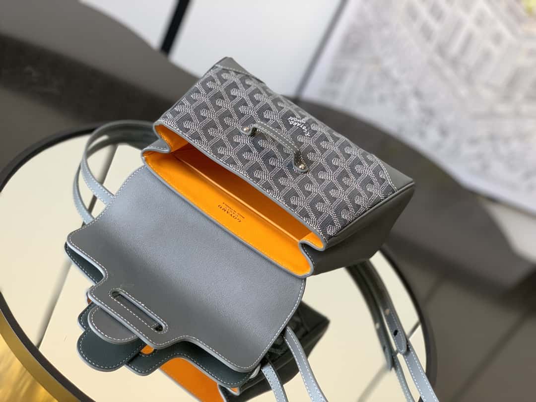 Bolsa  Goyard