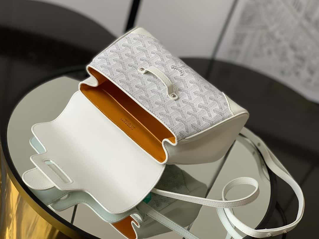 Bolsa  Goyard