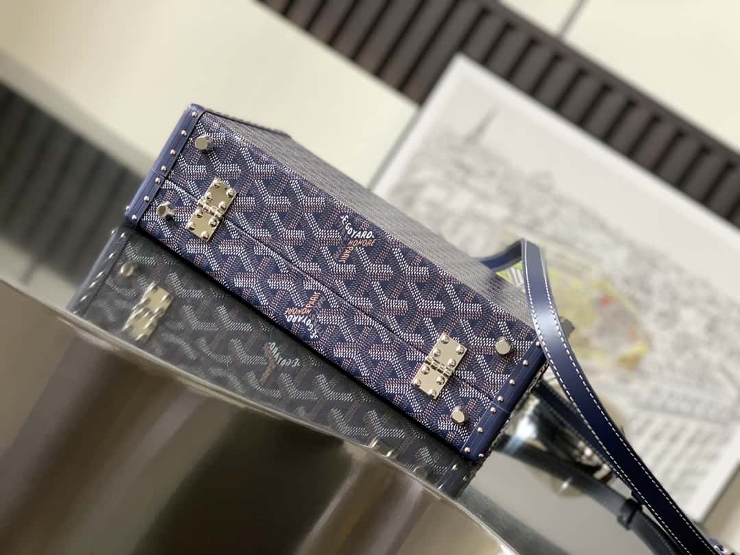 Bolsa  Goyard