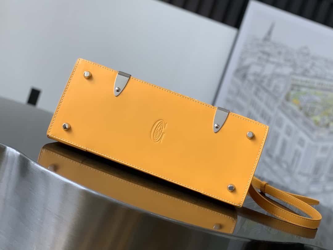 Bolsa  Goyard