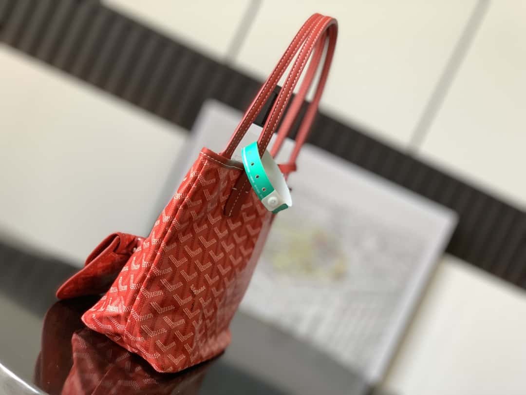 Bolsa  Goyard