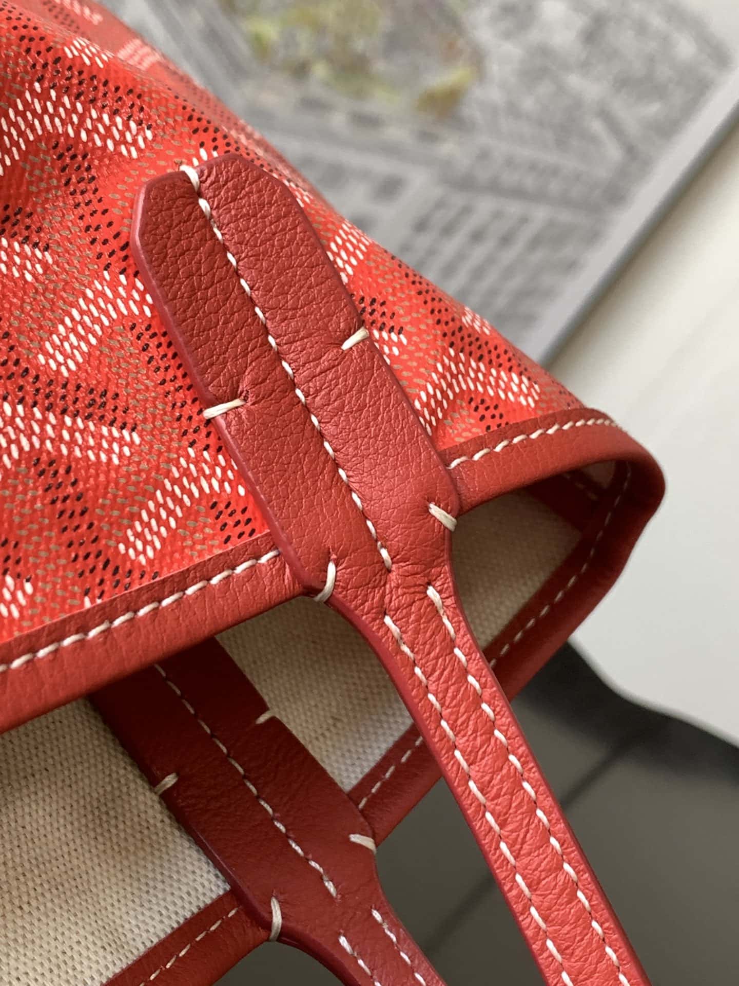Bolsa  Goyard