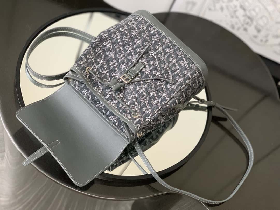Bolsa  Goyard