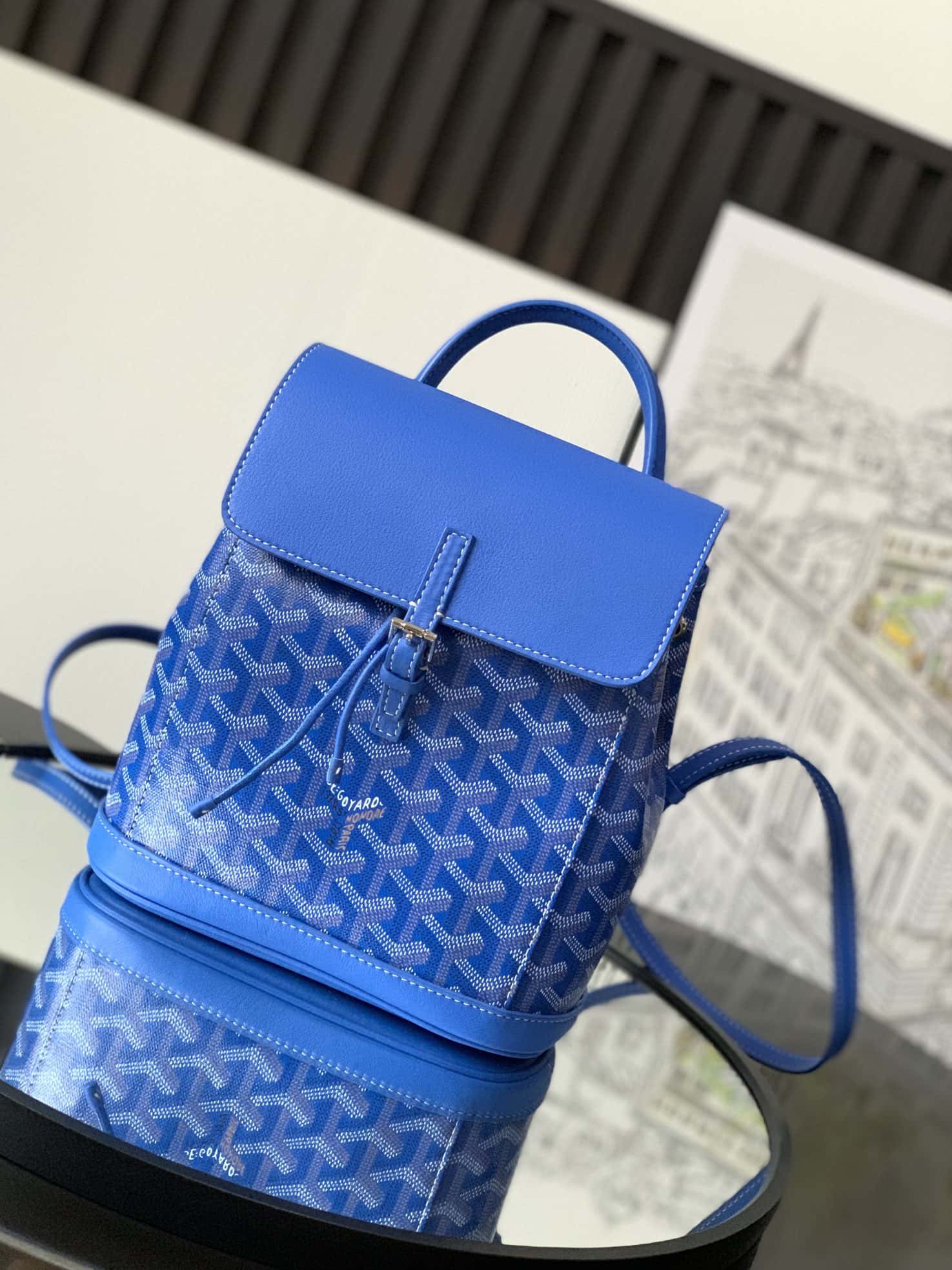 Bolsa  Goyard