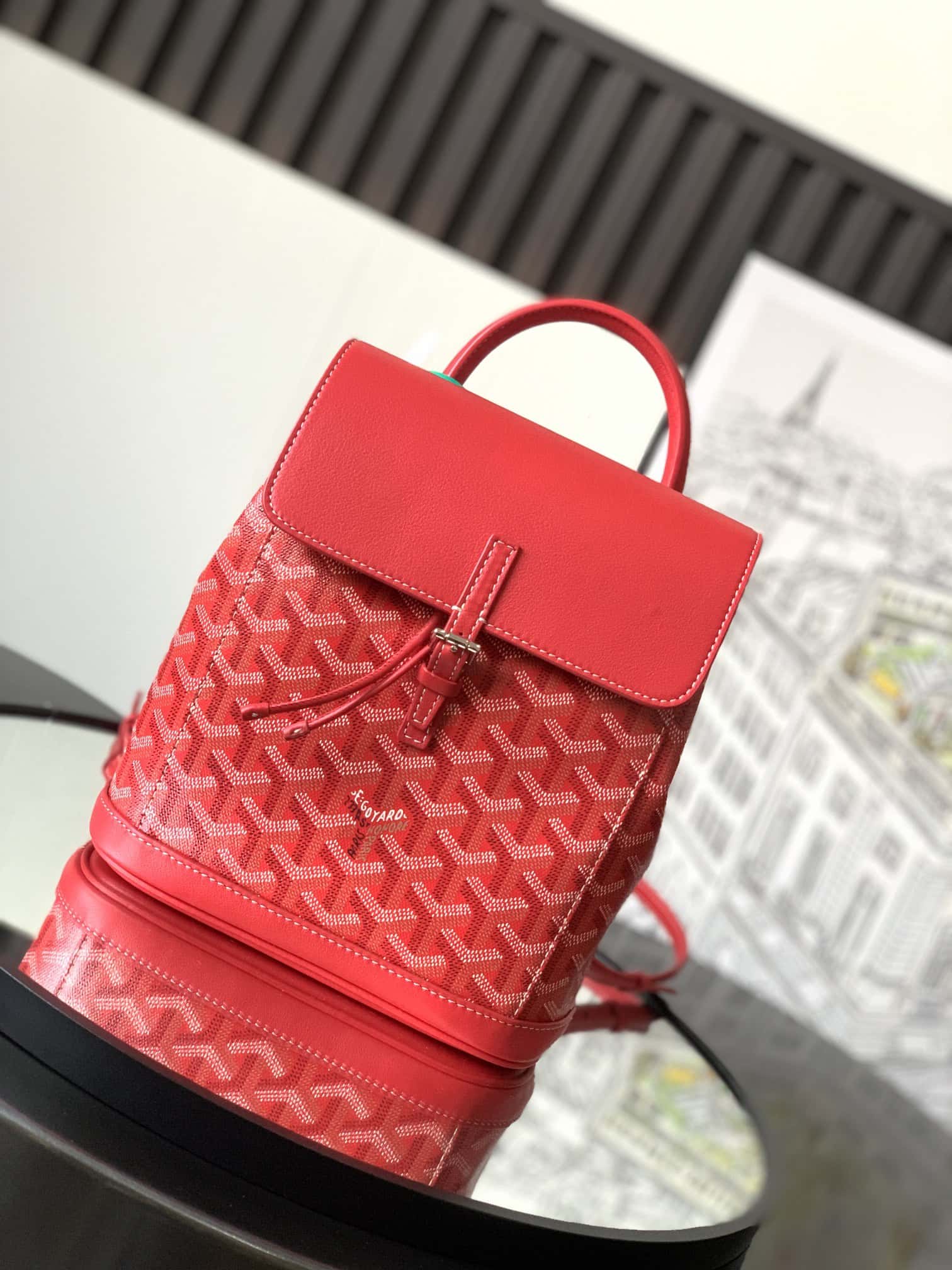 Bolsa  Goyard