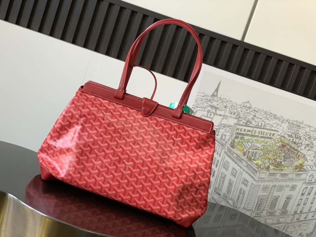Bolsa  Goyard